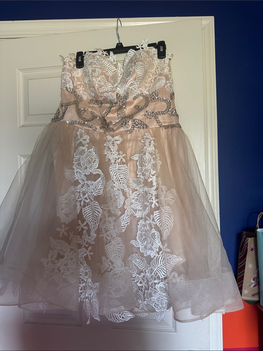 Strapless Nude Lace Appliqué Tulle Dress with Beaded Waist